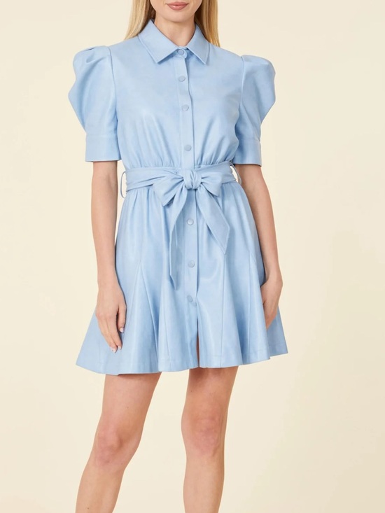 Dolce Cabo Dresses & Skirts - Dolce Cabo Vegan Leather Puff
Sleeve Belted Skate Dress
D20